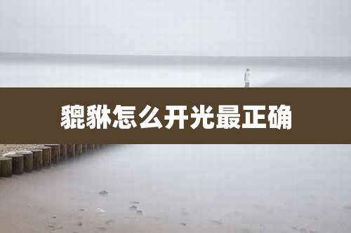 貔貅怎么开光最正确