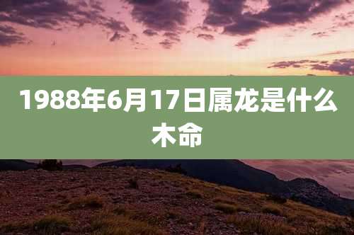 1988年6月17日属龙是什么木命