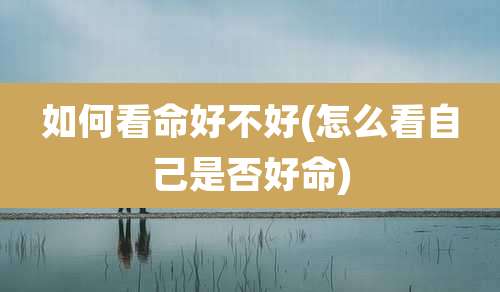 如何看命好不好(怎么看自己是否好命)