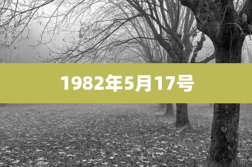 1982年5月17号