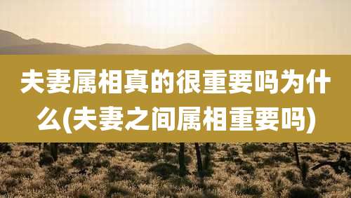 夫妻属相真的很重要吗为什么(夫妻之间属相重要吗)