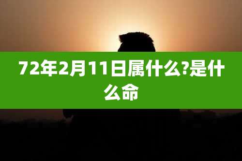 72年2月11日属什么?是什么命