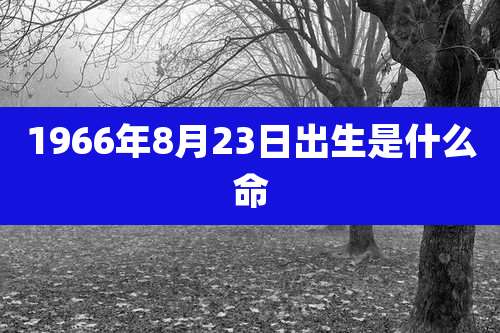 1966年8月23日出生是什么命