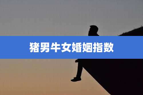 猪男牛女婚姻指数
