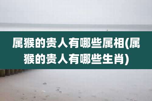 属猴的贵人有哪些属相(属猴的贵人有哪些生肖)