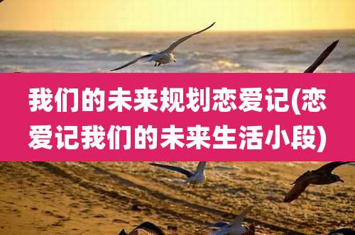 我们的未来规划恋爱记(恋爱记我们的未来生活小段)