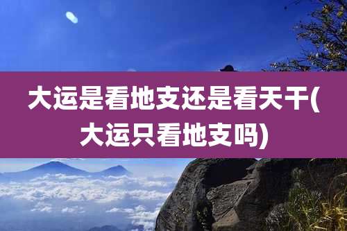 大运是看地支还是看天干(大运只看地支吗)