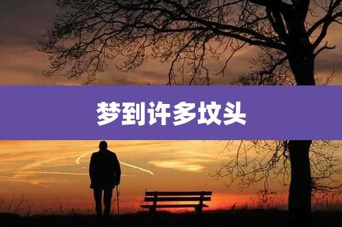 梦到许多坟头