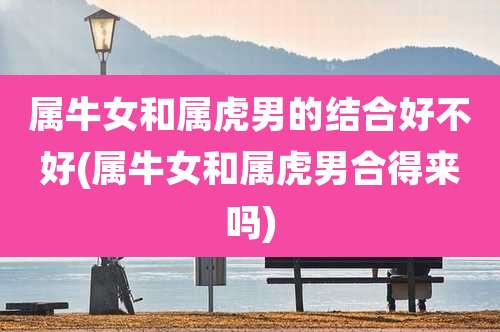 属牛女和属虎男的结合好不好(属牛女和属虎男合得来吗)
