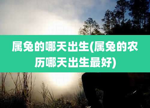 属兔的哪天出生(属兔的农历哪天出生最好)