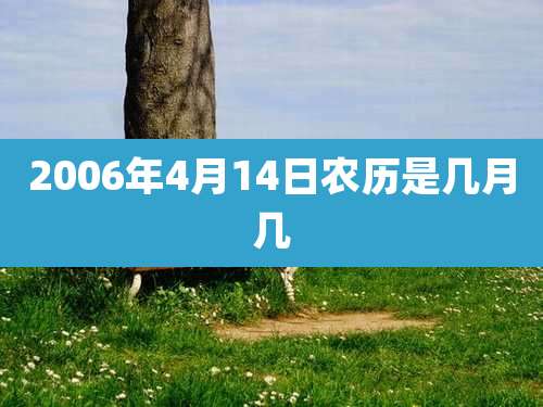 2006年4月14日农历是几月几