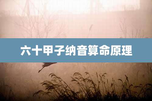 六十甲子纳音算命原理