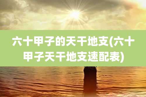 六十甲子的天干地支(六十甲子天干地支速配表)