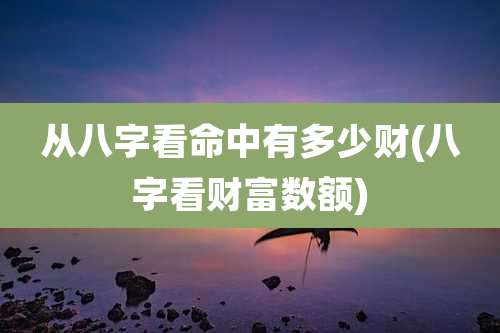 从八字看命中有多少财(八字看财富数额)