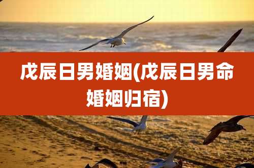 戊辰日男婚姻(戊辰日男命婚姻归宿)