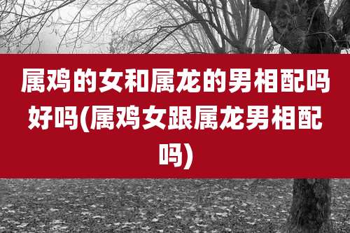 属鸡的女和属龙的男相配吗好吗(属鸡女跟属龙男相配吗)