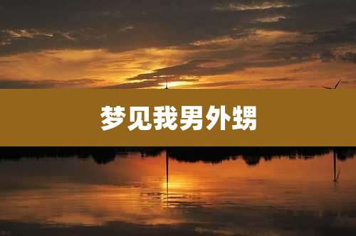 梦见我男外甥