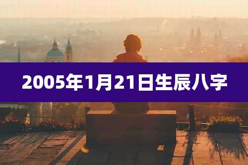 2005年1月21日生辰八字