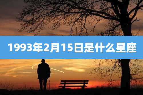 1993年2月15日是什么星座
