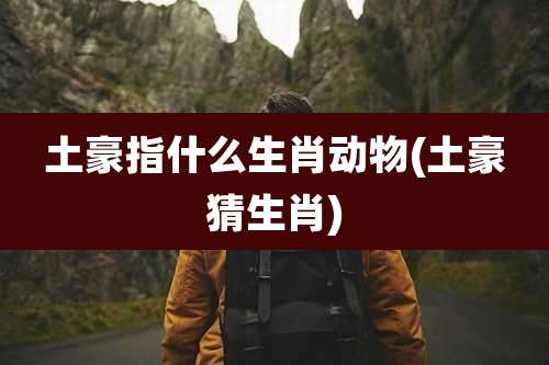 土豪指什么生肖动物(土豪猜生肖)