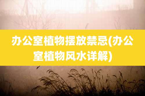 办公室植物摆放禁忌(办公室植物风水详解)