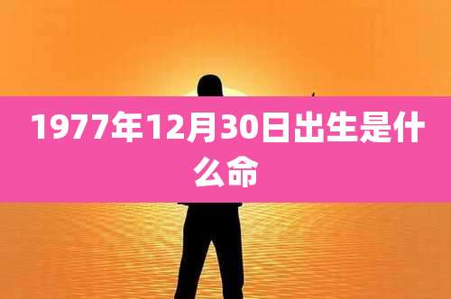 1977年12月30日出生是什么命