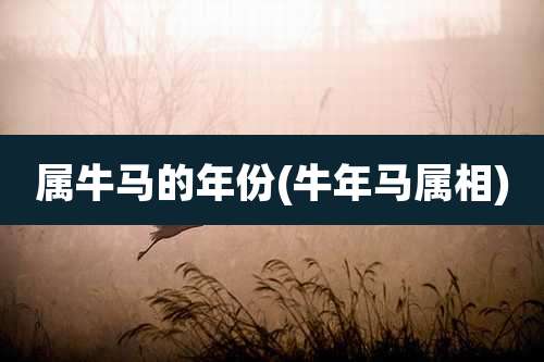 属牛马的年份(牛年马属相)