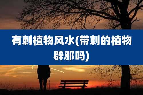 有刺植物风水(带刺的植物辟邪吗)