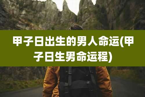 甲子日出生的男人命运(甲子日生男命运程)