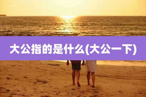 大公指的是什么(大公一下)