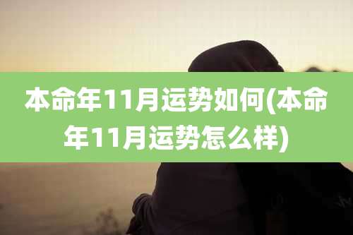 本命年11月运势如何(本命年11月运势怎么样)