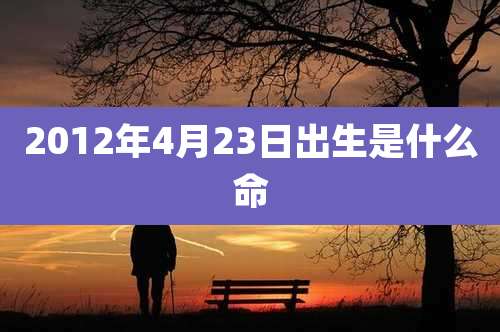 2012年4月23日出生是什么命