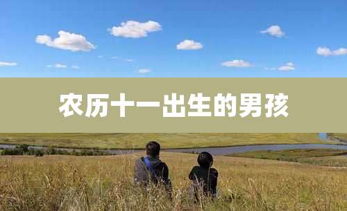 农历十一出生的男孩