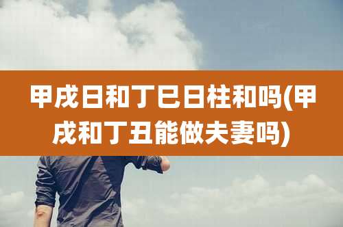 甲戌日和丁巳日柱和吗(甲戌和丁丑能做夫妻吗)