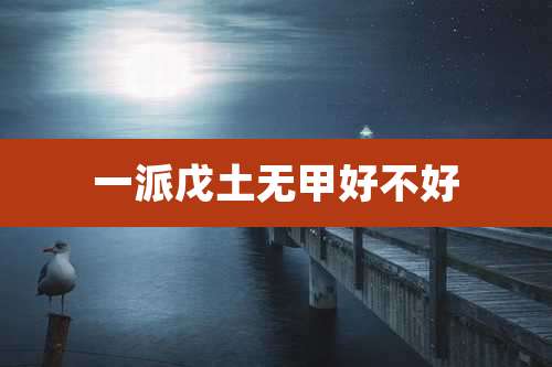 一派戊土无甲好不好