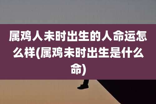 属鸡人未时出生的人命运怎么样(属鸡未时出生是什么命)