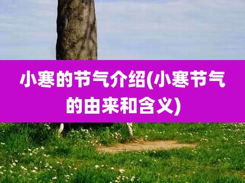 小寒的节气介绍(小寒节气的由来和含义)