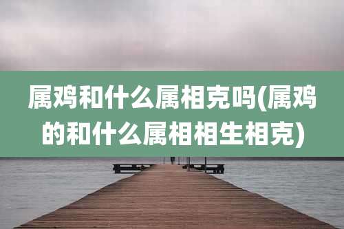 属鸡和什么属相克吗(属鸡的和什么属相相生相克)