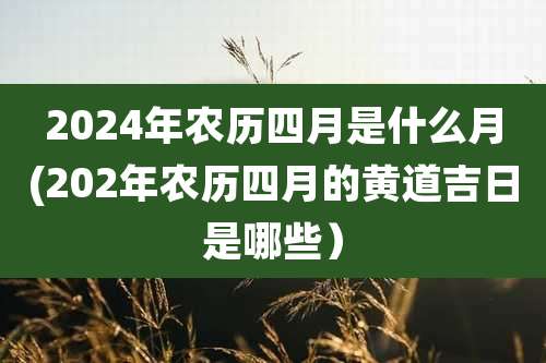 2024年农历四月是什么月(202年农历四月的黄道吉日是哪些）