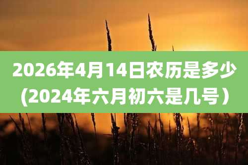2026年4月14日农历是多少(2024年六月初六是几号）