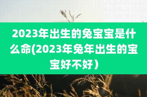 2023年出生的兔宝宝是什么命(2023年兔年出生的宝宝好不好）