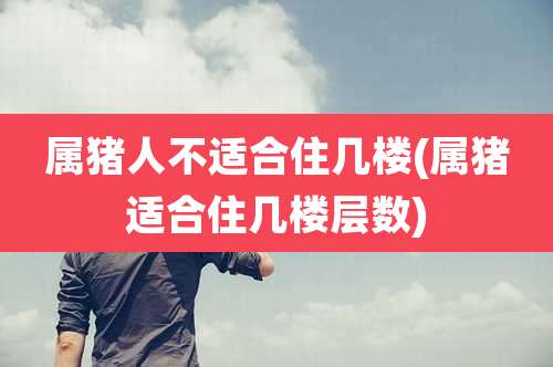 属猪人不适合住几楼(属猪适合住几楼层数)