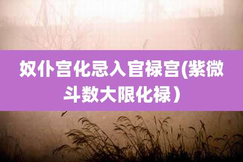 奴仆宫化忌入官禄宫(紫微斗数大限化禄)