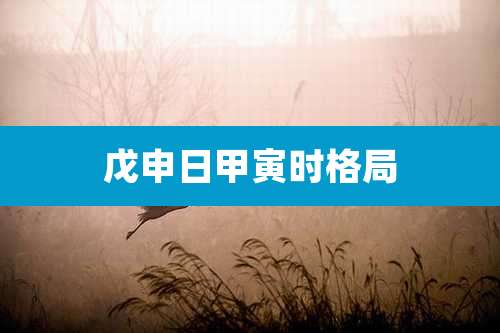 戊申日甲寅时格局
