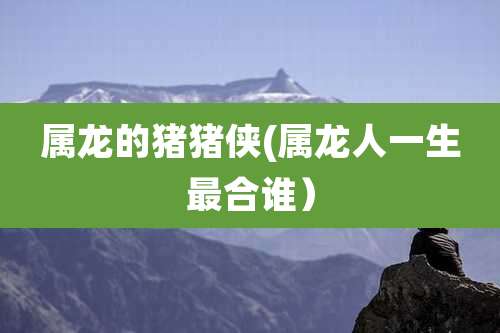 属龙的猪猪侠(属龙人一生最合谁）