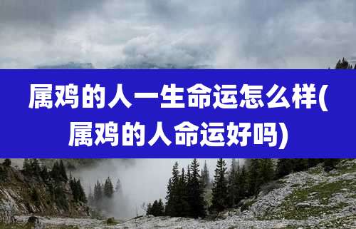 属鸡的人一生命运怎么样(属鸡的人命运好吗)