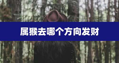 属猴去哪个方向发财