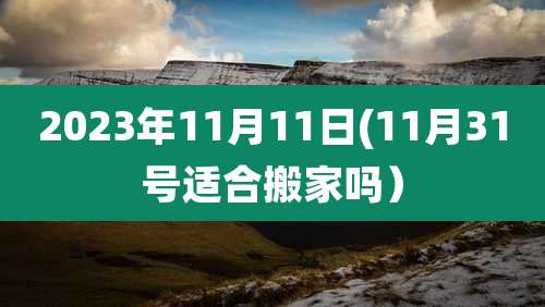 2023年11月11日(11月31号适合搬家吗）