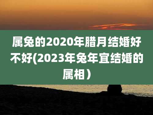 属兔的2020年腊月结婚好不好(2023年兔年宜结婚的属相)
