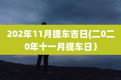 202年11月提车吉日(二0二0年十一月提车日）